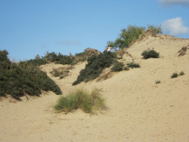D&uuml;nen