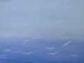 cimg6617.jpg