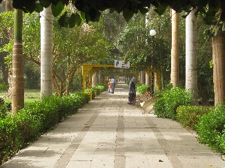 Bot. Garten