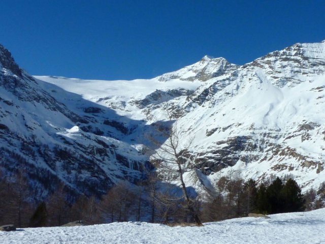 pontresina_jan.2015_040_1.jpg