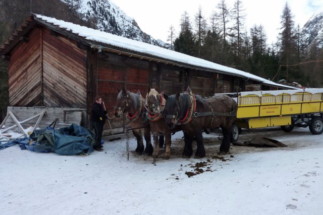 pontresina_jan.2015_070_1.jpg