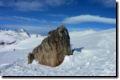 pontresina_jan.2015_063_1.jpg