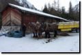 pontresina_jan.2015_070_1.jpg